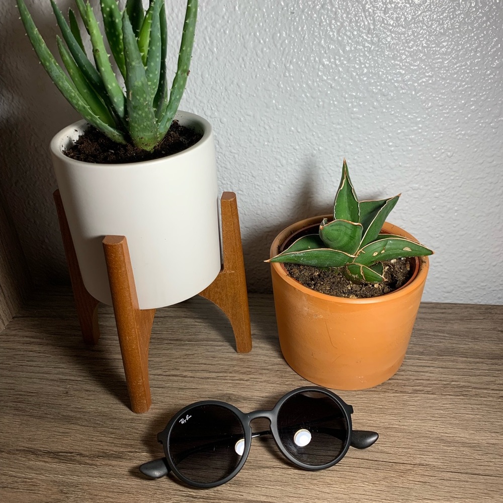 Ray Ban sunglasses 🕶